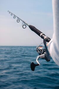 mathieu le roux 6 hqvy1e7ni unsplash